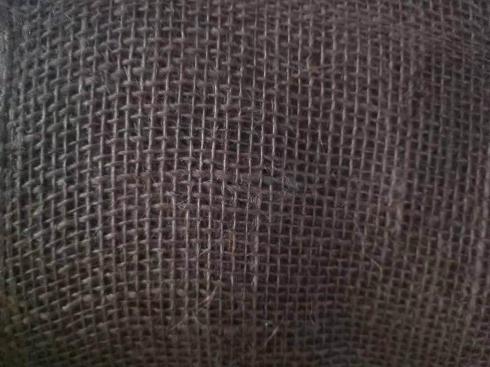 鲼